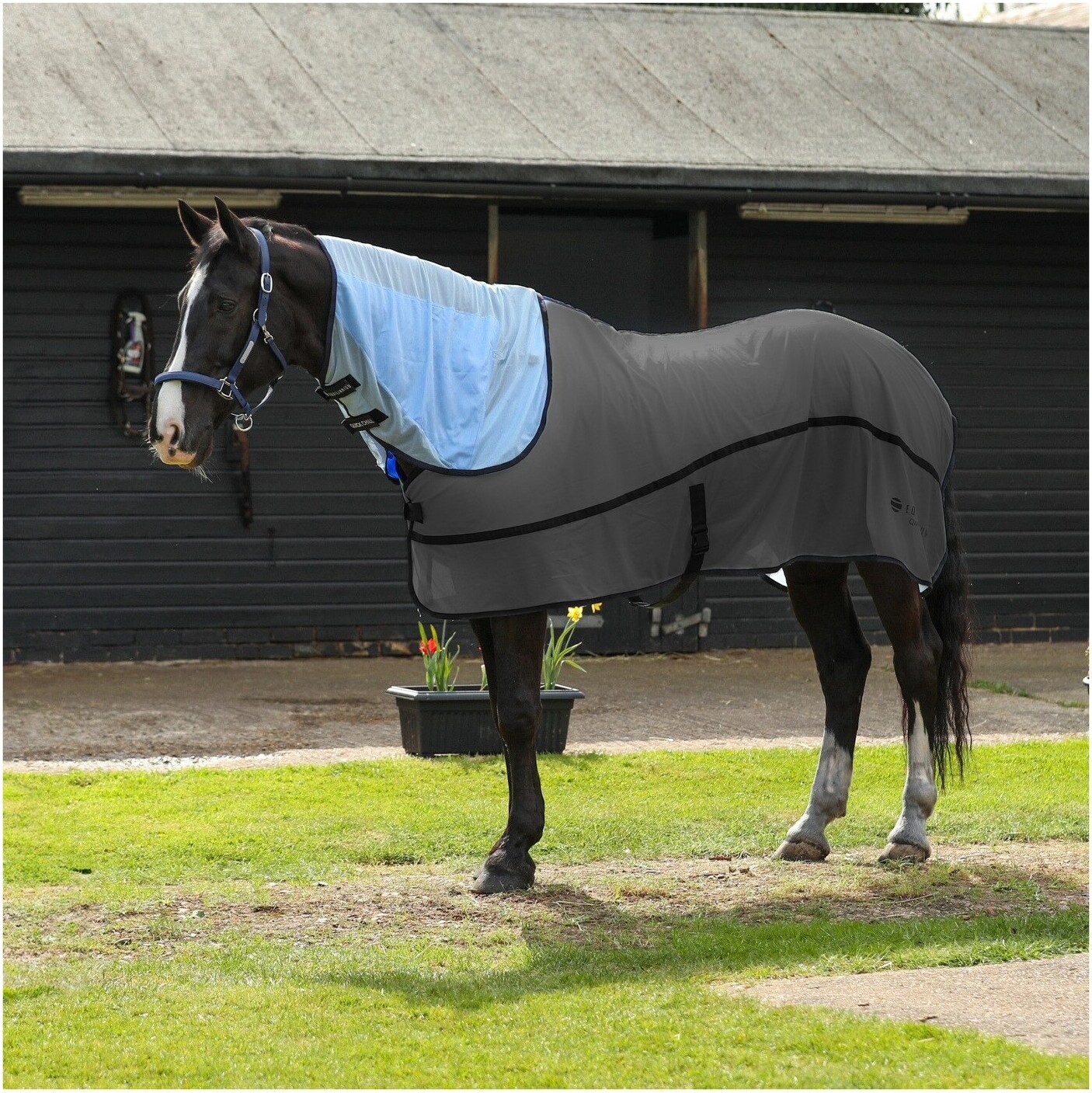 2026 Equilibrium Snel Koel Hals EQCCRLB - Light Blue